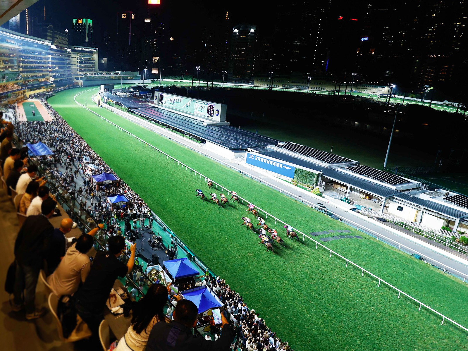 Happy Valley race cards 3 december preview