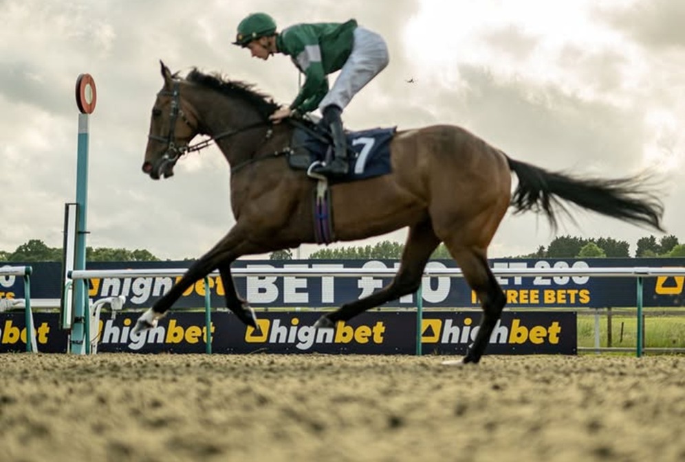 National Hunt racing at Lingfield Park