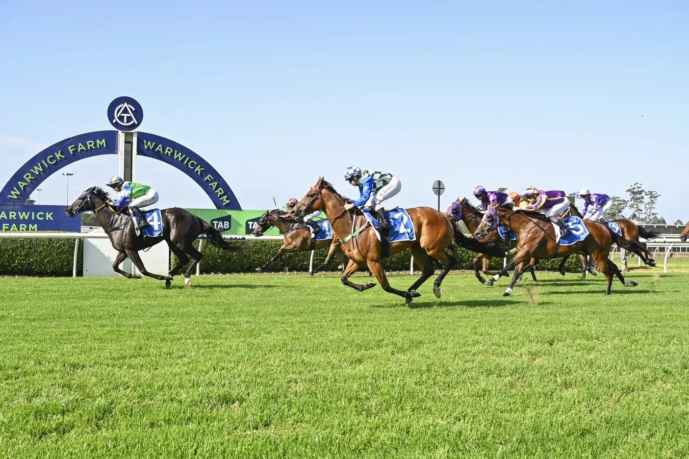 Australia race cards 3 December Warwick Farm preview
