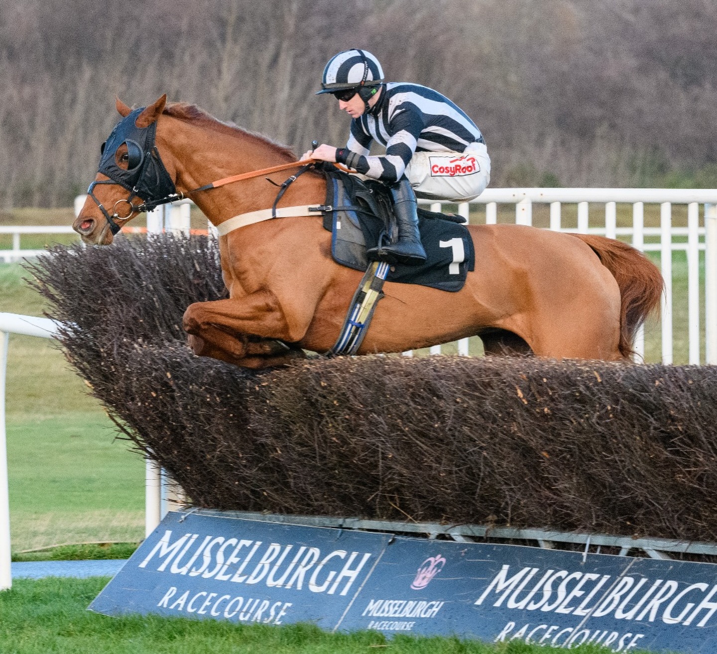 Musselburgh racecards 22 December at Musselburgh Racecourse