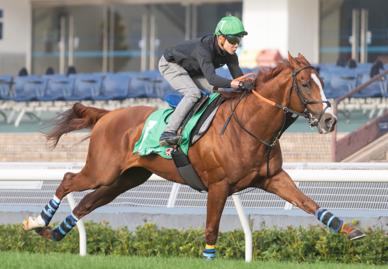 Urban Chic Hong Kong Vase at Sha Tin Racecourse