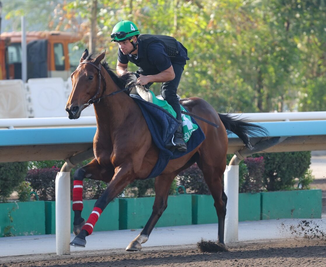 Longines Hong Kong Vase barrier draw and main contenders