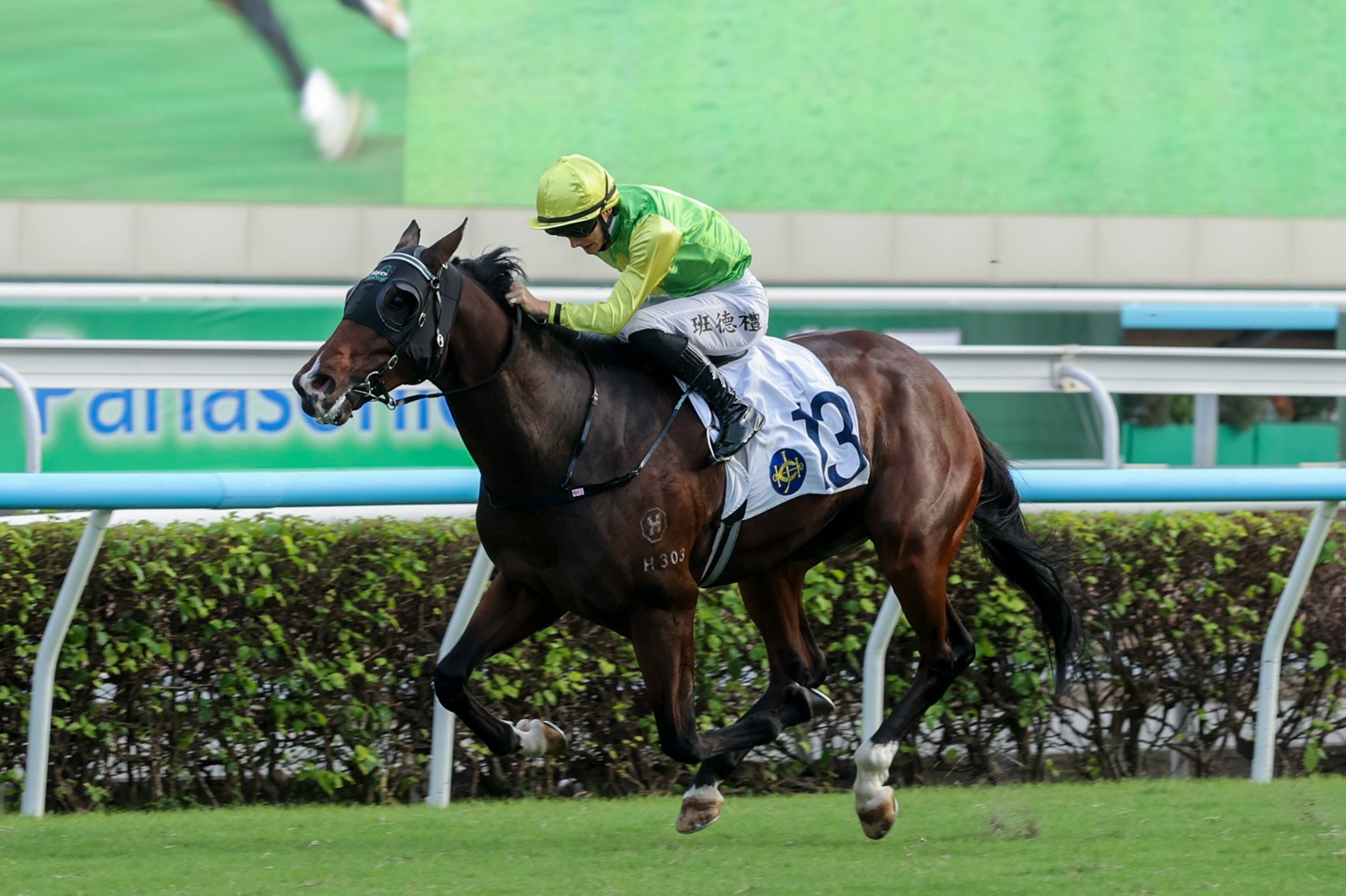 Tomodachi Kokoroe preparing for LONGINES Hong Kong Sprint 2025