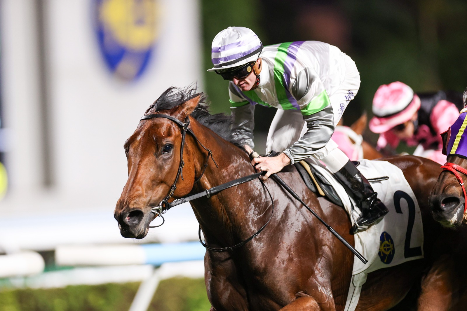 Sha Tin race cards 1 January featuring Chinese Club Challenge Cup field