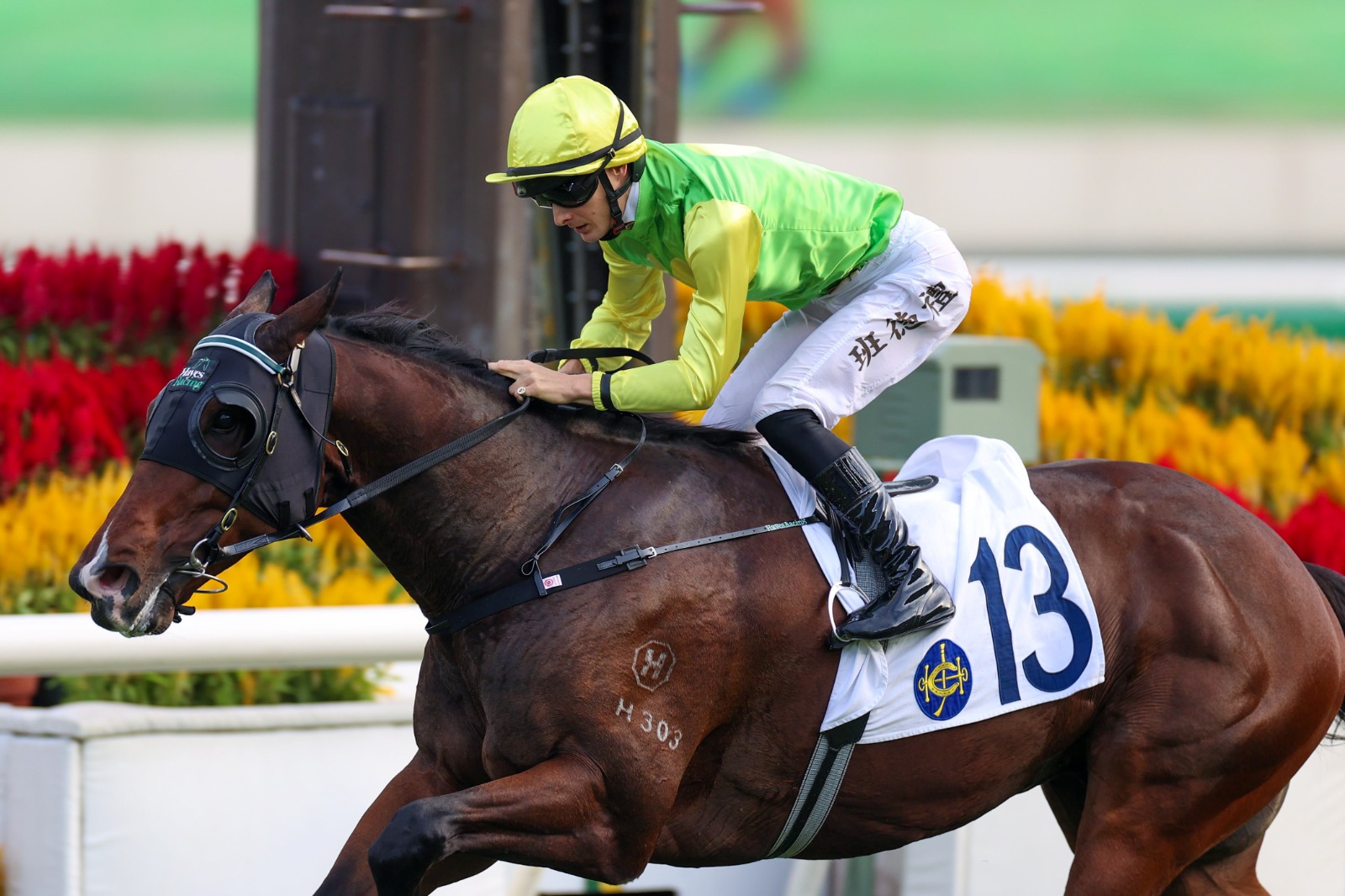 Sha Tin race cards 1 January featuring Chinese Club Challenge Cup runners
