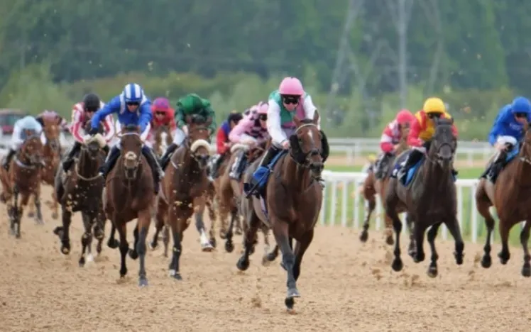 Southwell race cards 28 December winter racing action at Southwell Racecourse