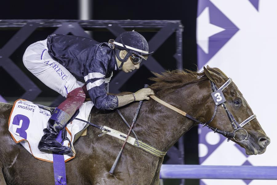 El Nasseeb winning the Al Garhoud Sprint at Meydan under Antonio Fresu
