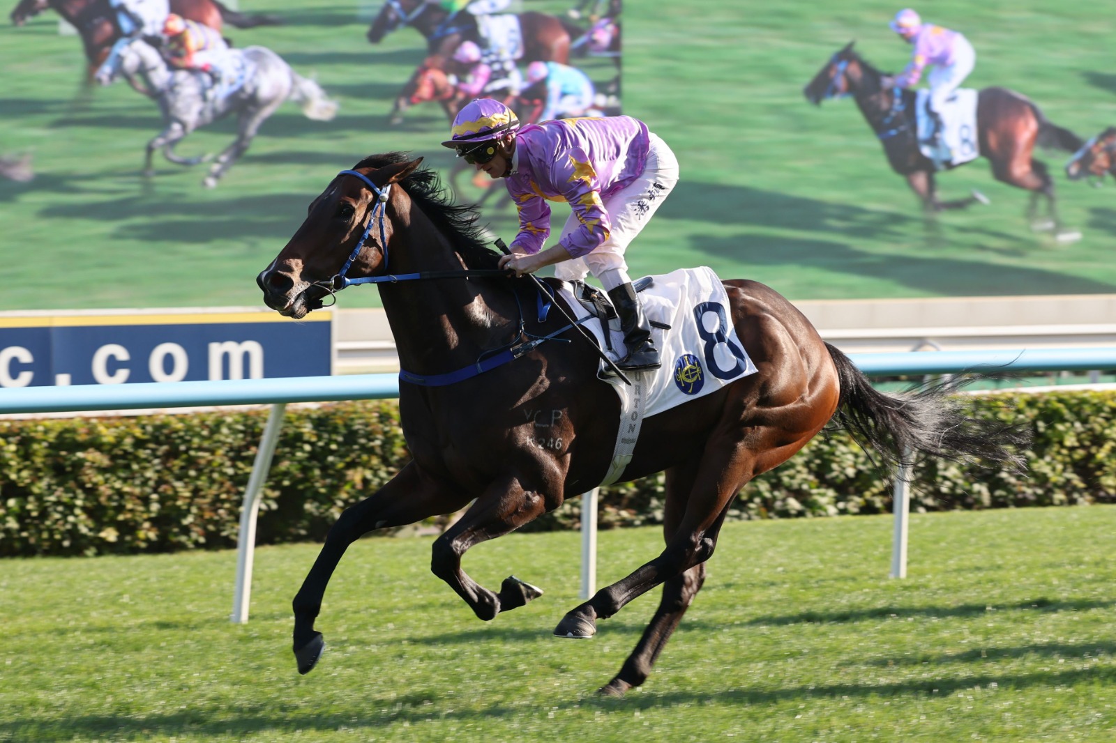 Sha Tin race results 11 January featuring Little Paradise winning at Sha Tin