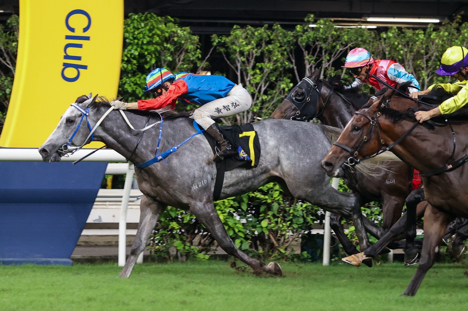 Romantic Warrior and Voyage Bubble face off at Sha Tin Stewards Cup 25 January