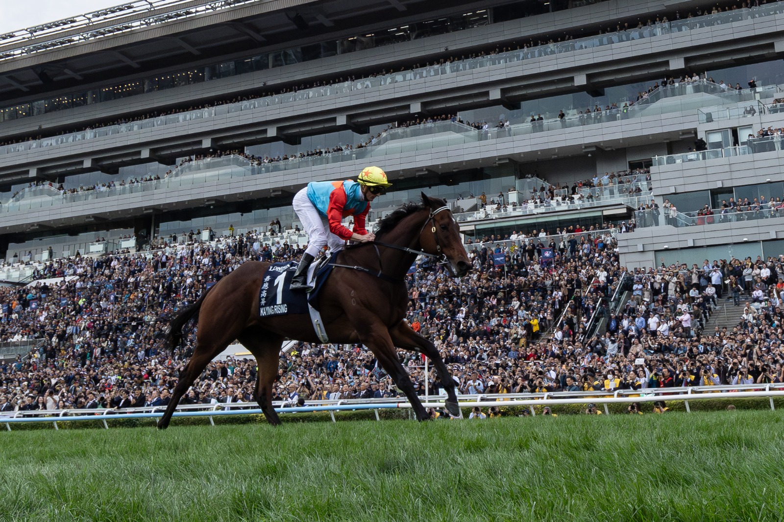 Timeform Horse of the Year 2025 Ka Ying Rising celebrating historic season
