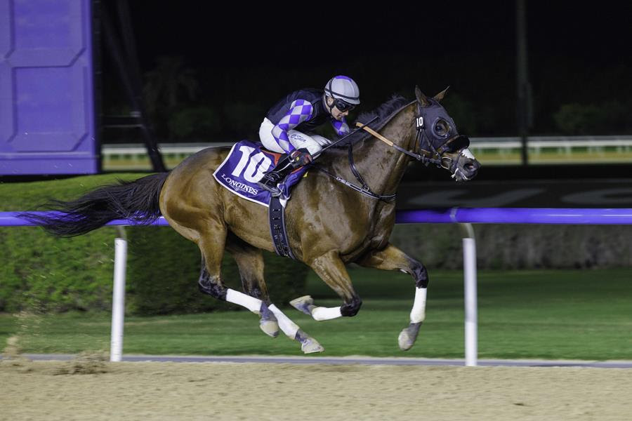 Meydan racecards 23 January showcasing night racing at Meydan