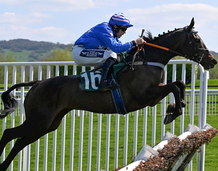 Singer Capital Markets announced as sponsor of the Singer Arkle Novices’ Chase at Cheltenham Festival