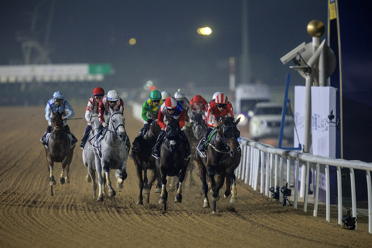 Meydan racecards 16 January feature race CAPE VERDI at Meydan Racecourse