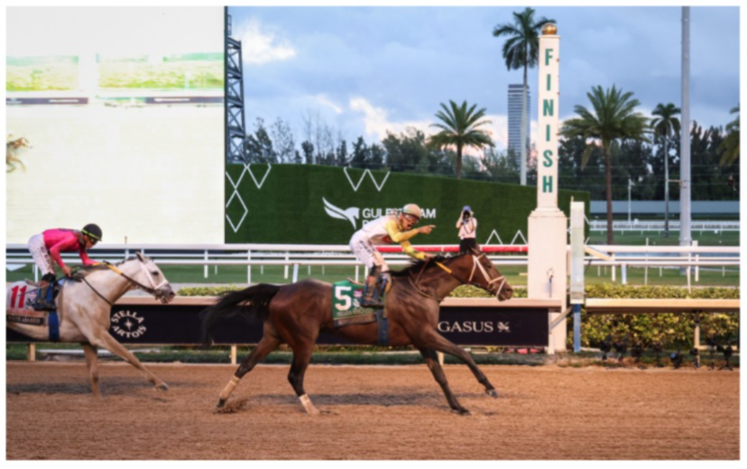 Skippylongstocking wins the 2026 Pegasus World Cup at Gulfstream Park