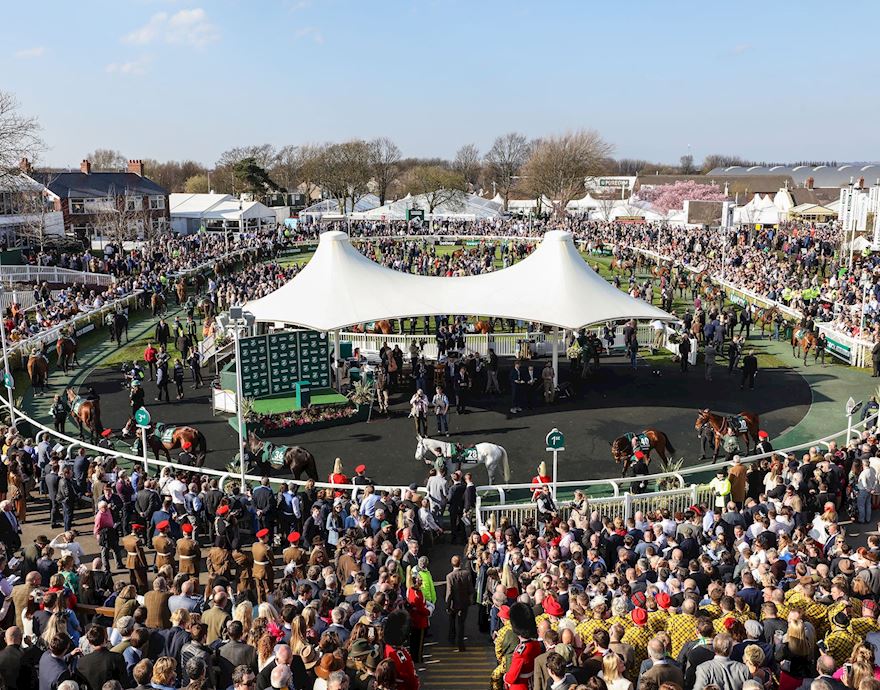 Grand National Declarations announced at Aintree Racecourse