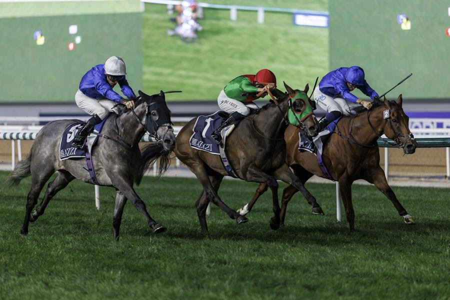 Dubai Beach winning the Cape Verdi in Meydan race results 16 January