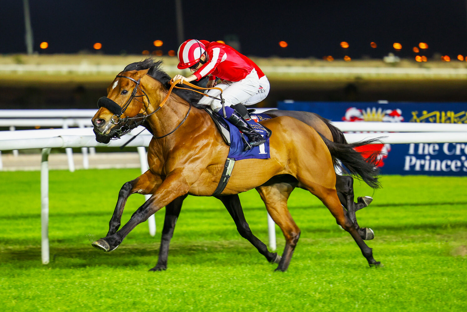 Bahrain racecards 16 January at Bahrain Turf Club under evening lights