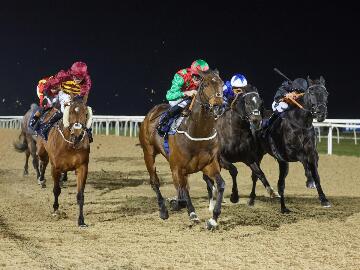 Beylerbeyi leads contenders on All-Weather Championships Trials Day at Newcastle