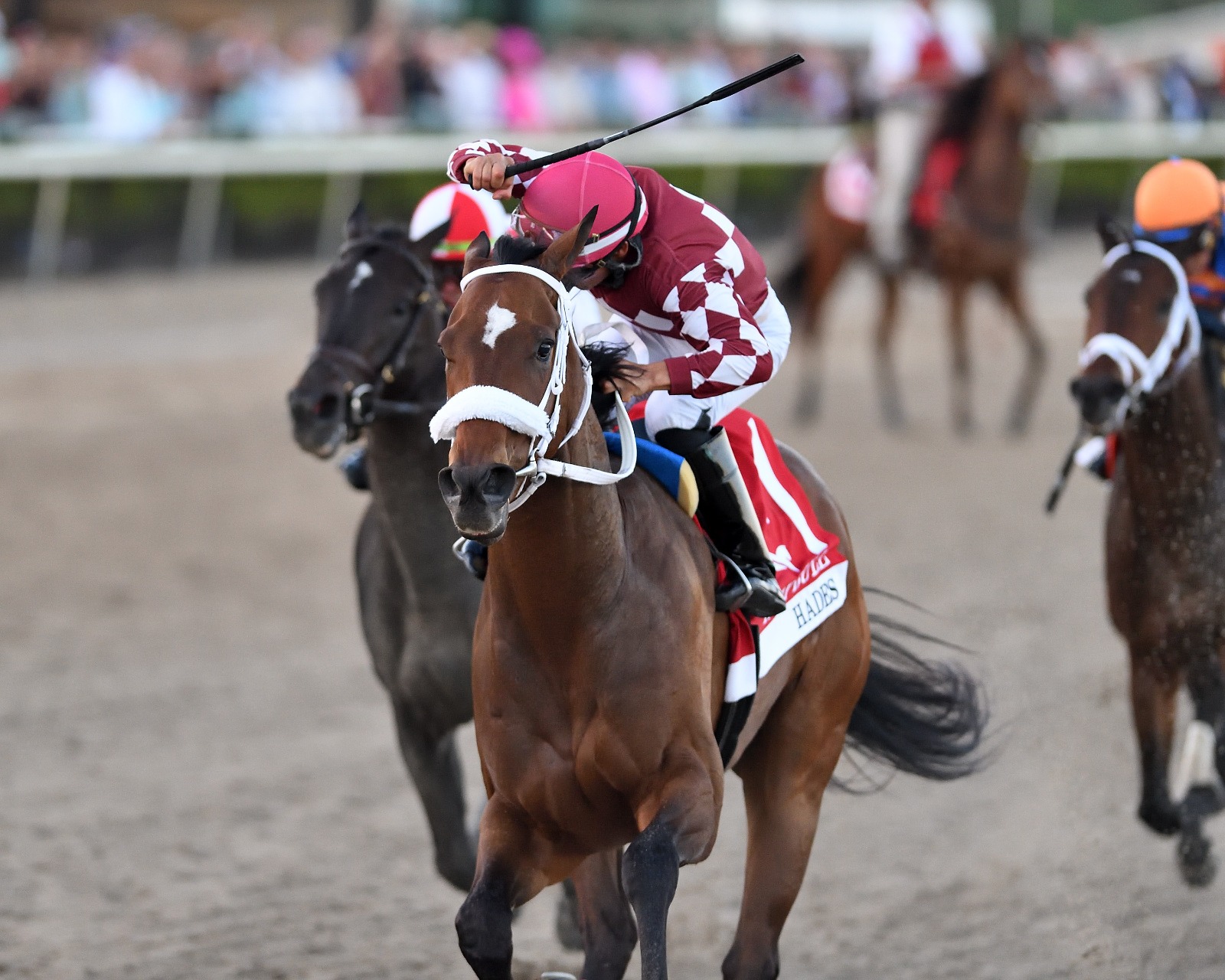 Gulfstream Park racecards 24 January featuring Pegasus World Cup Invitational contenders