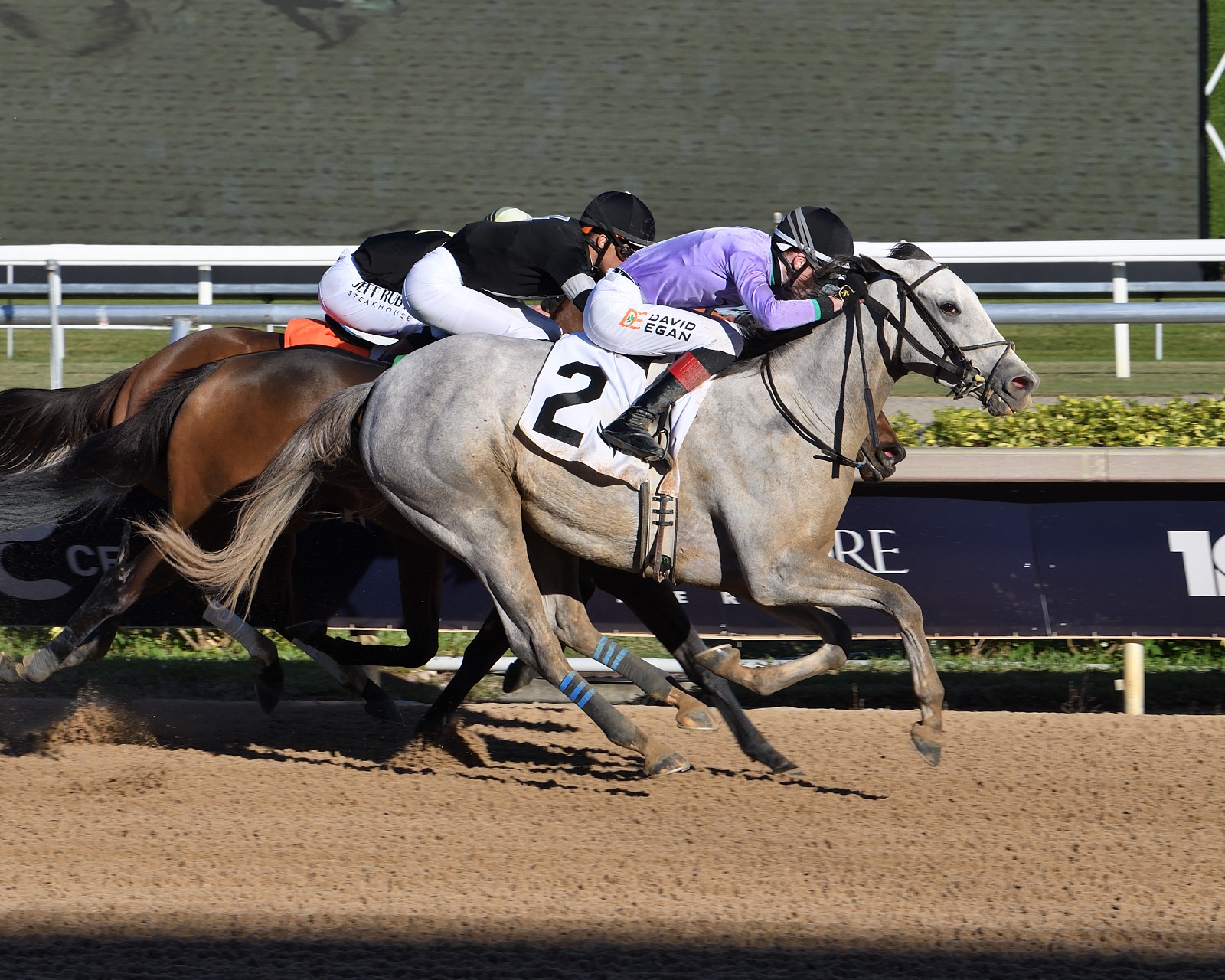Gulfstream Park race result 1 January as Haute Diva surges late