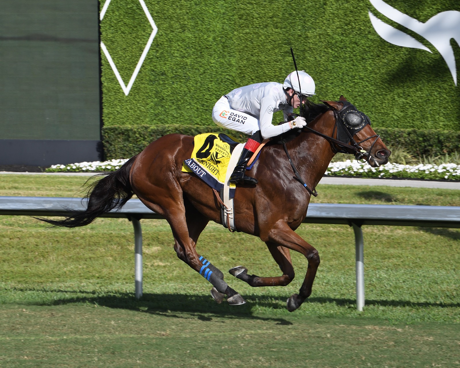 Layabout leads the field in the William L. McKnight Stakes at Gulfstream Park