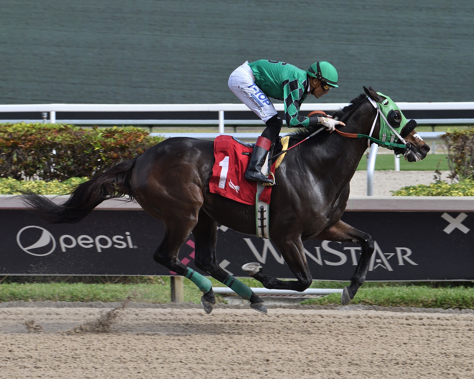 Gulfstream Park racecards 10 January Friday racing programme