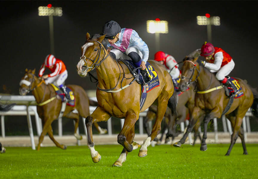 Bahrain racecards 9 January preview of nine thrilling races