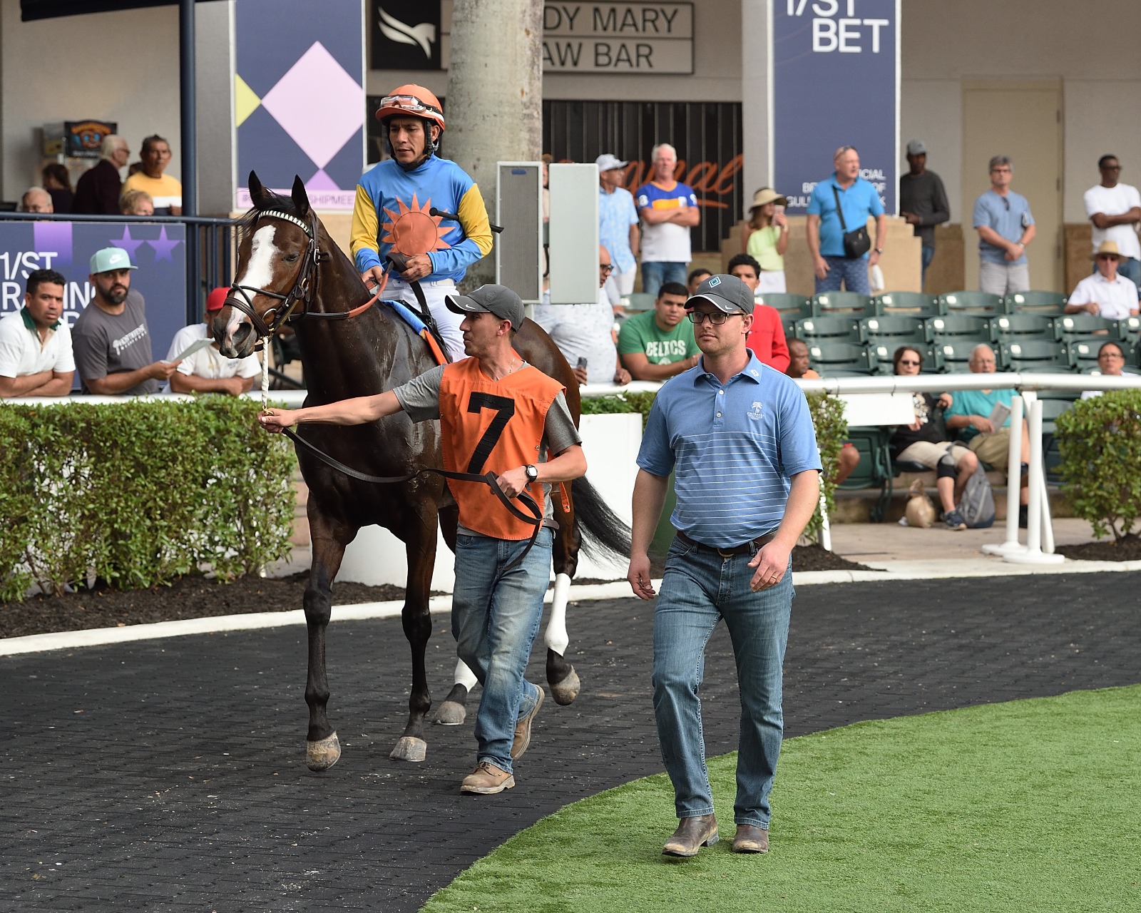 Incredibolt training ahead of the Holy Bull Stakes at Gulfstream Park