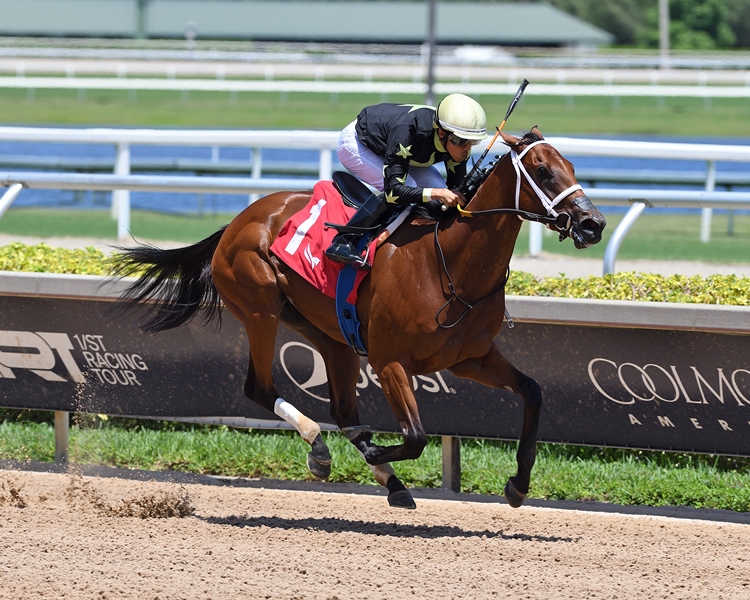 Fillies compete at Gulfstream Park on New Year’s Day