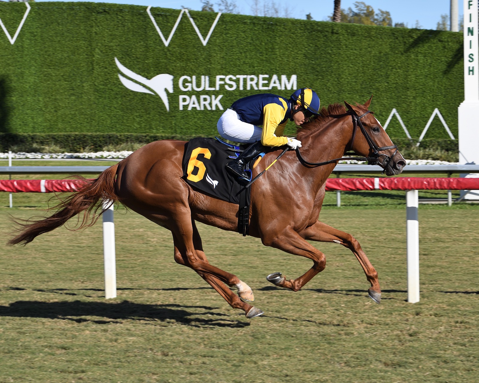 Gulfstream Park race results 3 January featuring competitive finishes