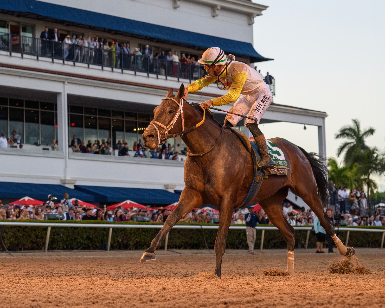 Pegasus World Cup results as Skippylongstocking charges clear at Gulfstream Park