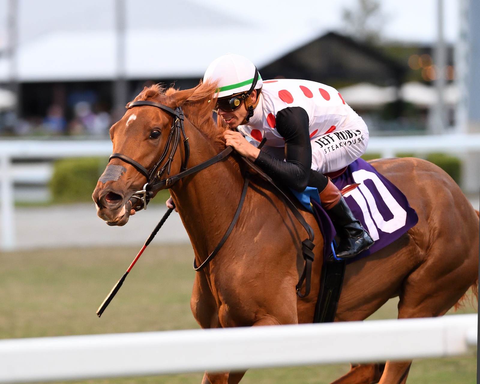 Pegasus World Cup 2026 at Gulfstream Park celebrating ten years of elite racing