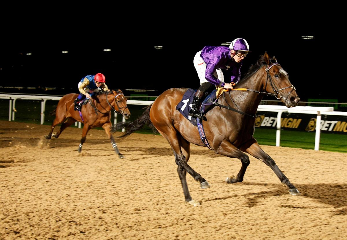 Southwell Racecourse prepares for competitive New Year six-furlong handicap
