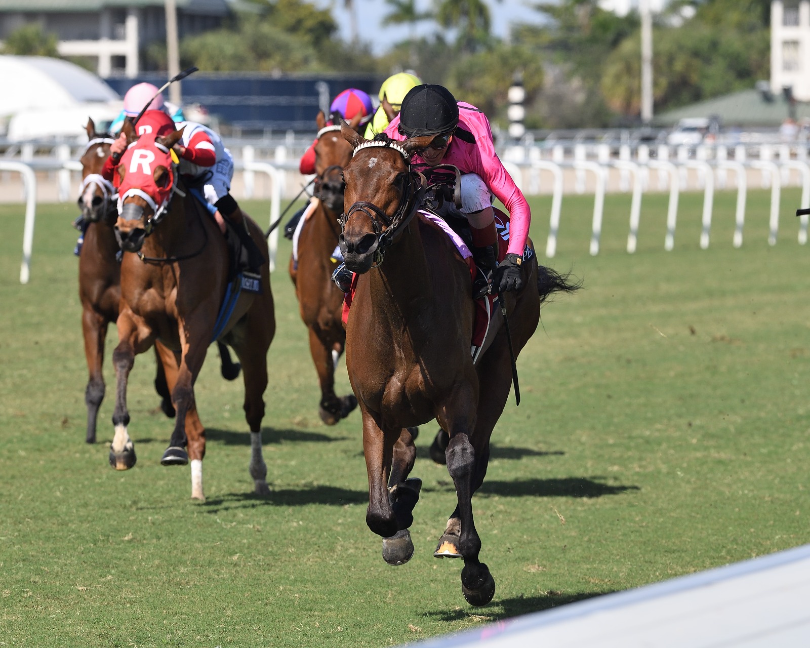 Speed Shopper crossing the finish line at Gulfstream Park in Christophe Clement G3