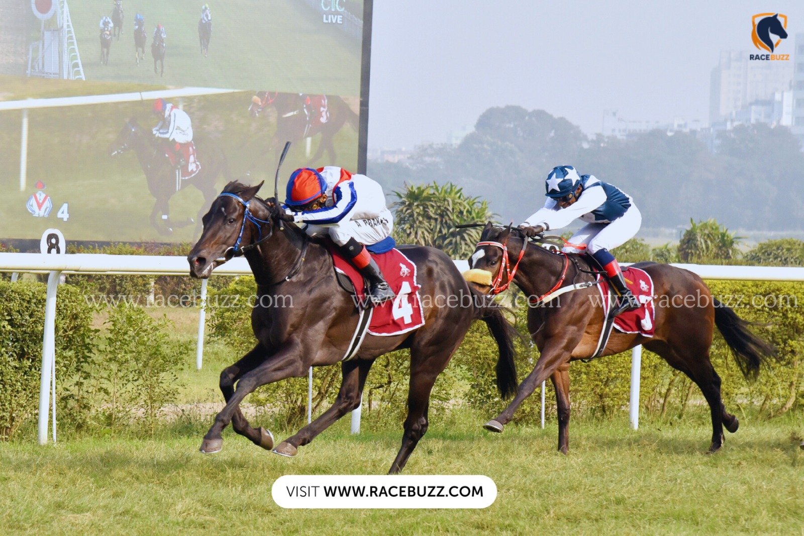 calcutta 1 jan race cards at Royal Calcutta Turf Club on New Year’s Day