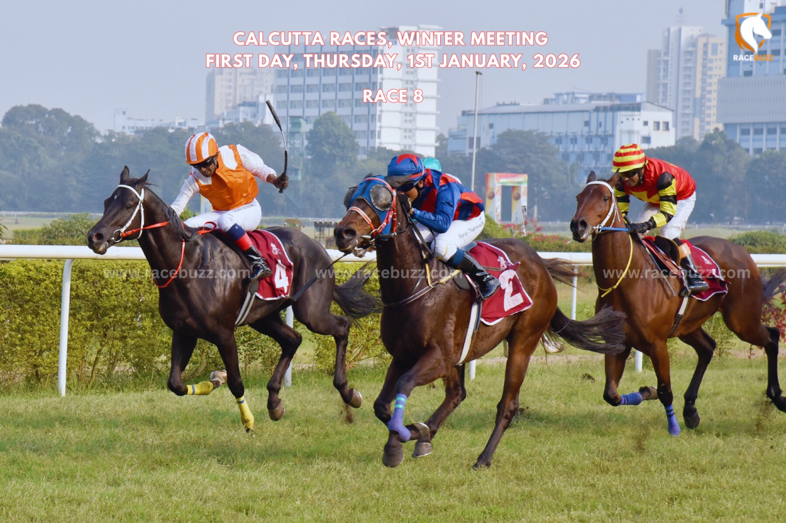 Luther winning The Deepak Khaitan Memorial – Calcutta race result 1 Jan