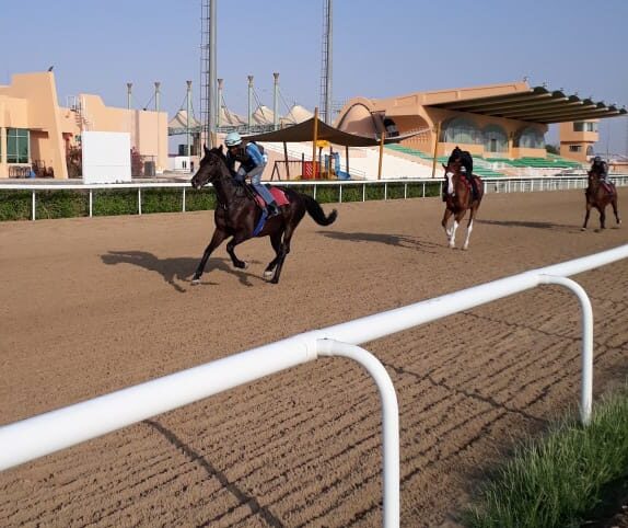 Al Ain racecards 3 January feature the Listed fourth race with top horses