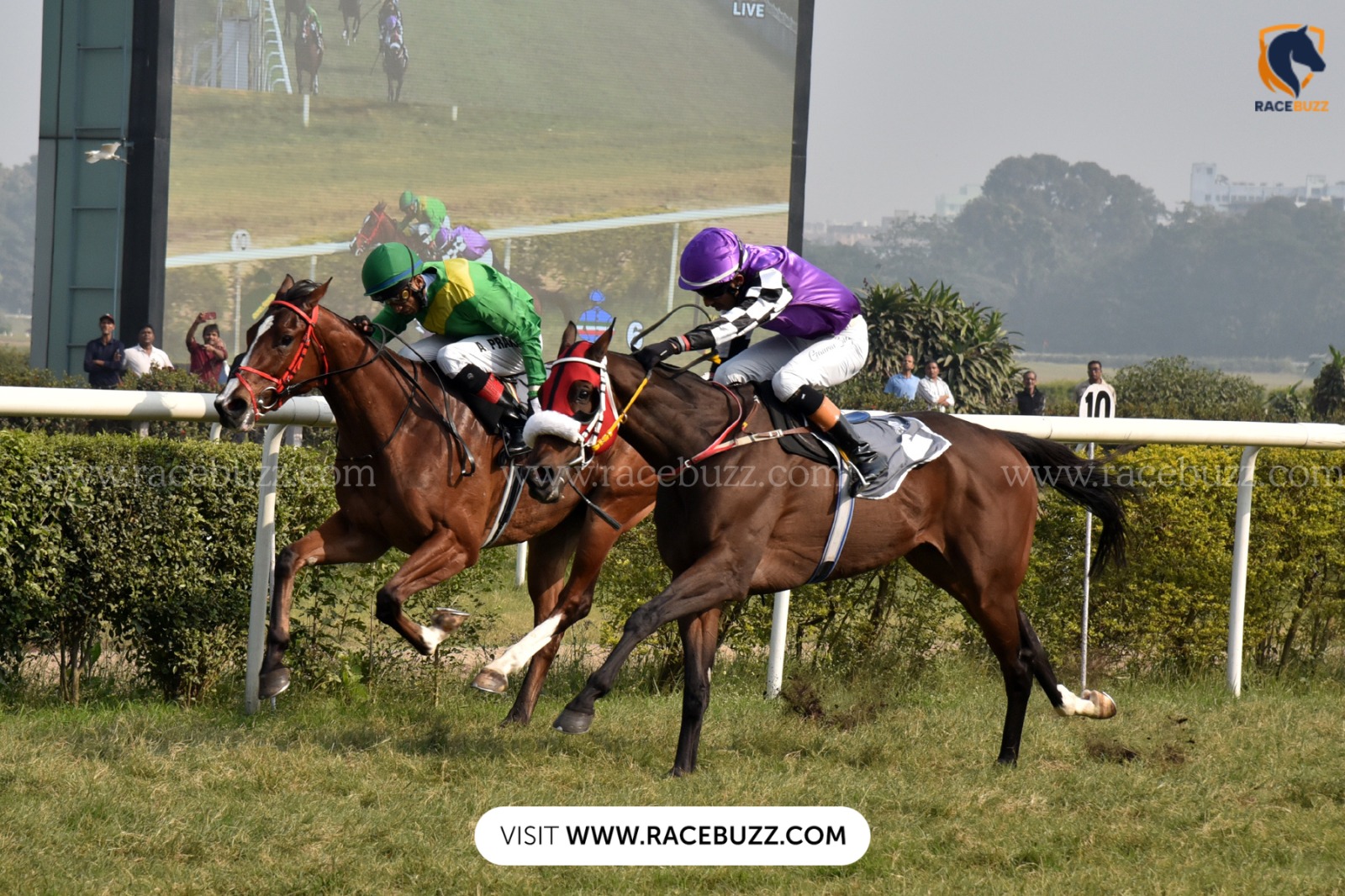 Kolkata Race Cards 9 January at Royal Calcutta Turf Club