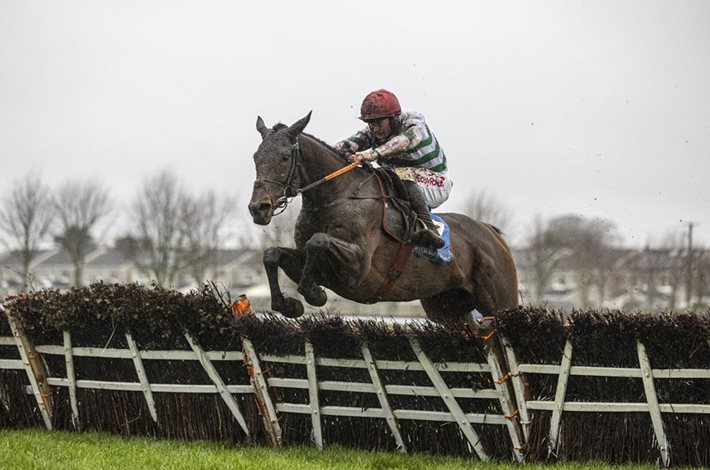 Naas Racecards 9 January featuring the Grade 1 Ballymore Novice Hurdle field