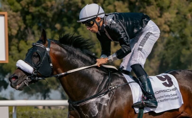 Jebel Ali Racecards 10 January – Al Wasl Club Cup action