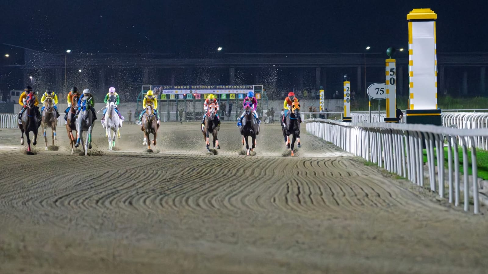 Philippine Racecards 16 January night racing at Philippine Jockey Club