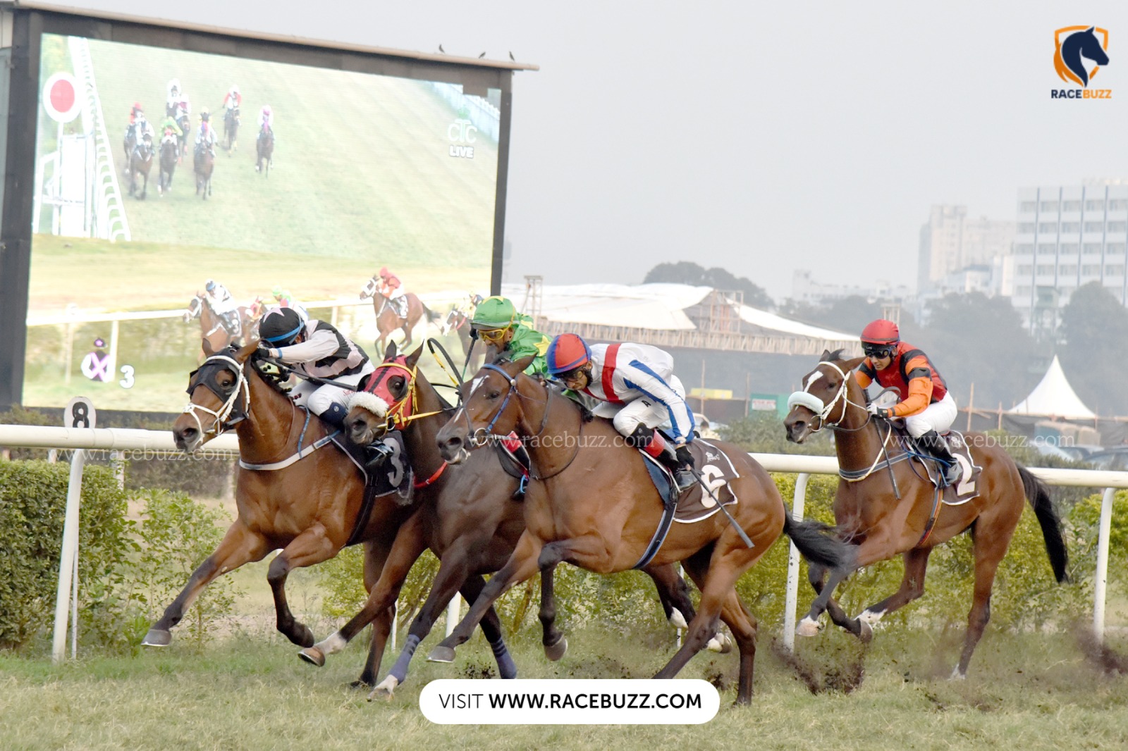 Kolkata Race Cards 17 January during Saturday racing