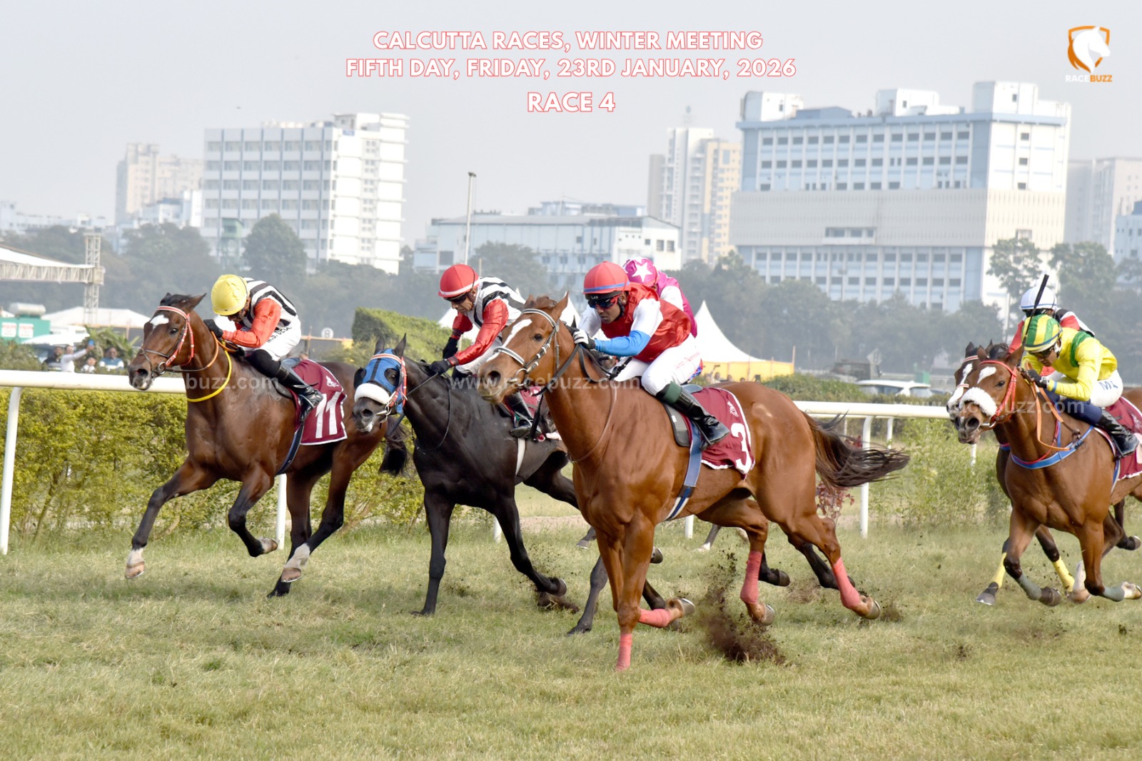 Kolkata race result 23 January Ruling Star wins Albert Piperno Memorial Cup