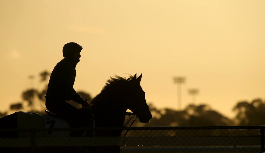Longwood bushfire impact at Lindsay Park training facility