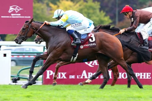 Chantilly Race Cards 21 January racecourse action