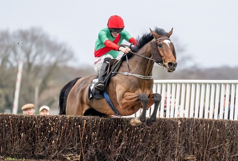 Plumpton Race Cards 26 January overview with horses racing