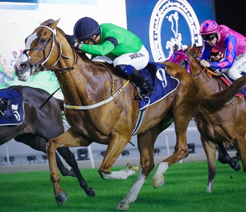 Horses racing at Bahrain Turf Club on 29 January