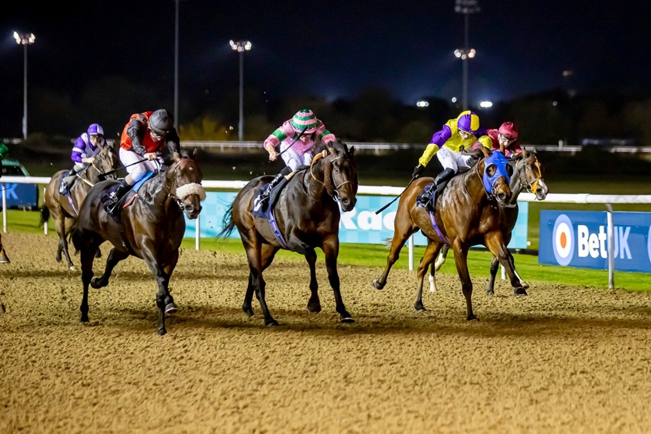 Wolverhampton Racecards 12 January under floodlights at Wolverhampton Racecourse