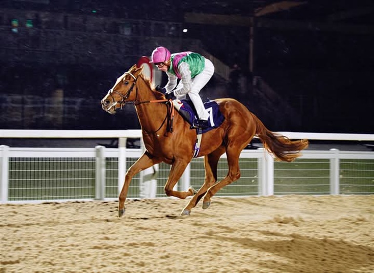 Southwell Racecourse all-weather track under evening lights