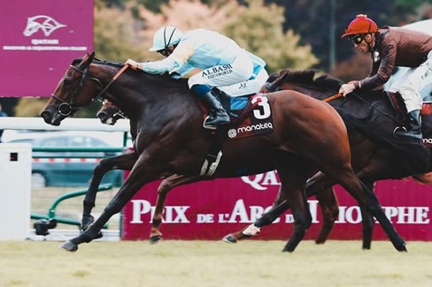 Deauville Race Cards 16 January all-weather track during evening racing